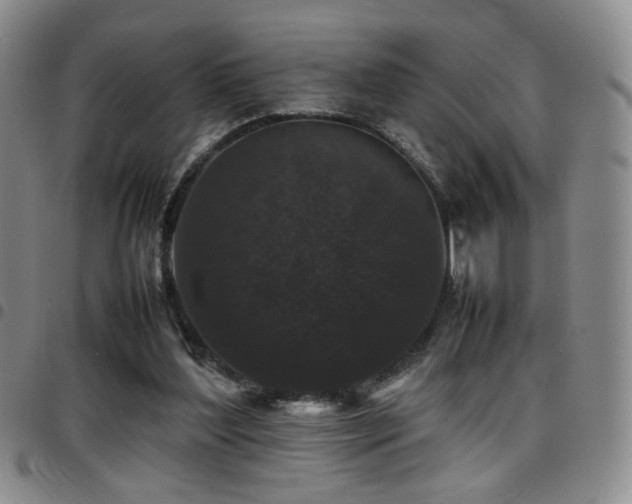 X0000097820204200803141148