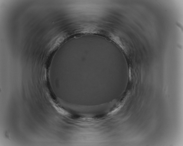 X0000097820205200803141148