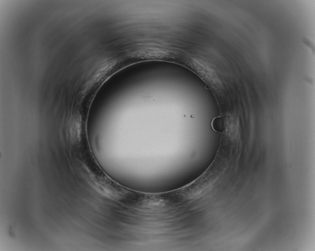 X0000097820206200803141148