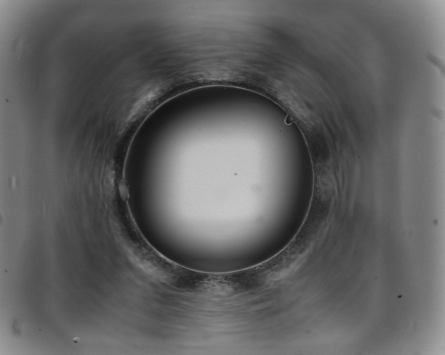 X0000097820207200803141148