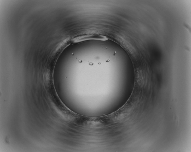 X0000097820208200803141148