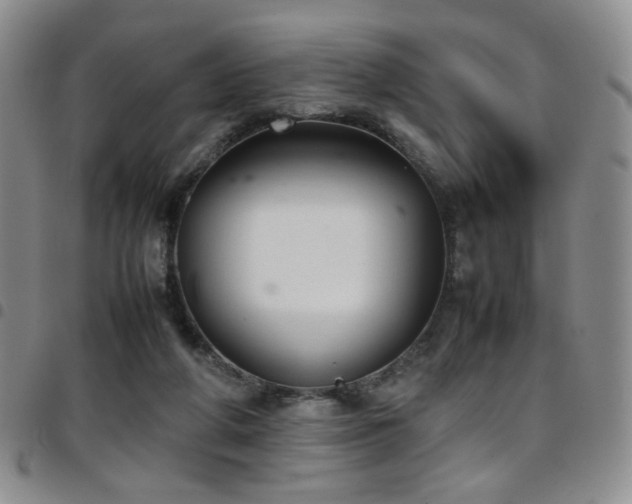 X0000097820210200803141148