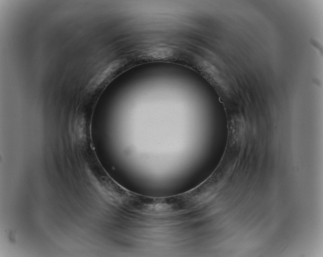 X0000097820212200803141148