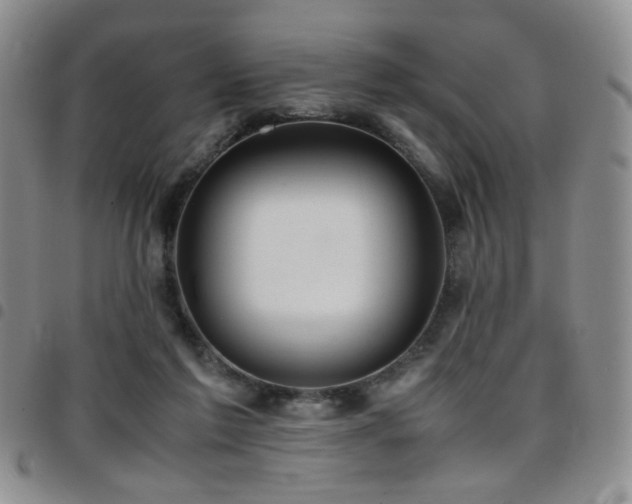 X0000097820213200803141148