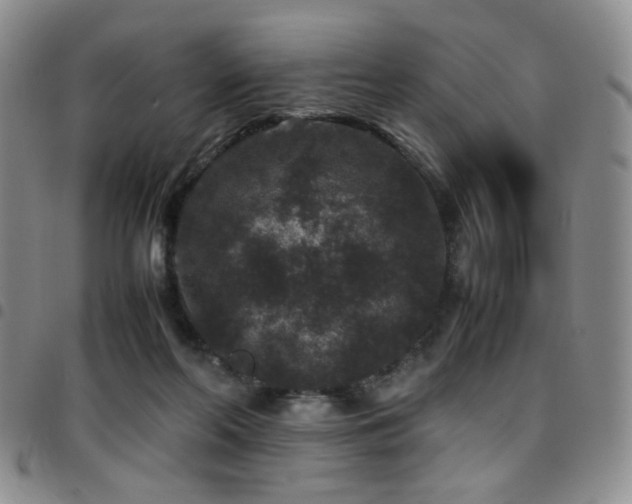 X0000097820214200803141148