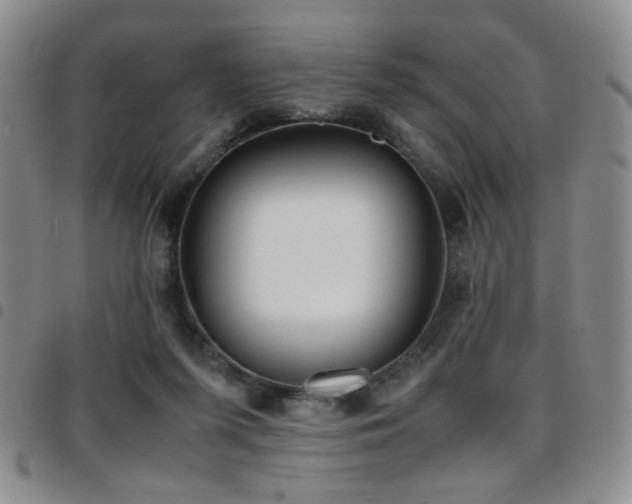 X0000097820215200803141148