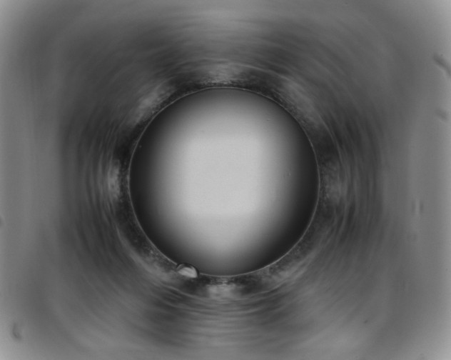 X0000097820216200803141148