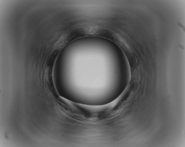 X0000097820217200803141148