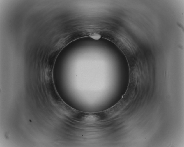 X0000097820218200803141148