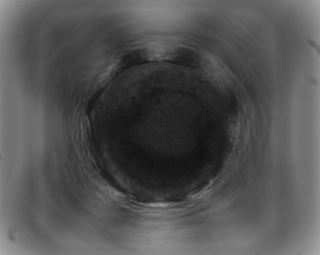 X0000097820219200803141148