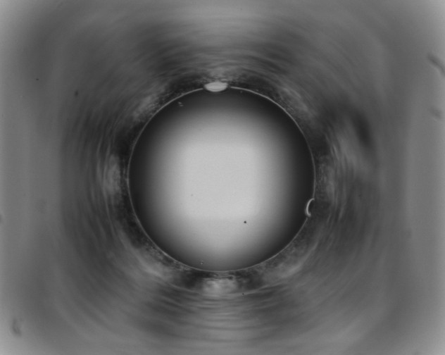 X0000097820220200803141148