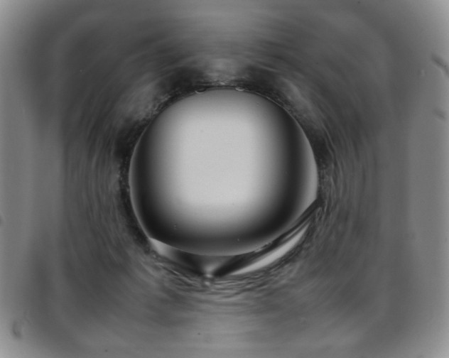 X0000097820221200803141148