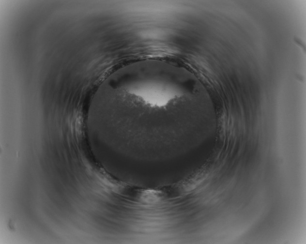 X0000097820222200803141148