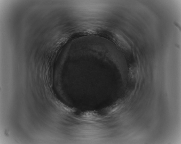 X0000097820223200803141148