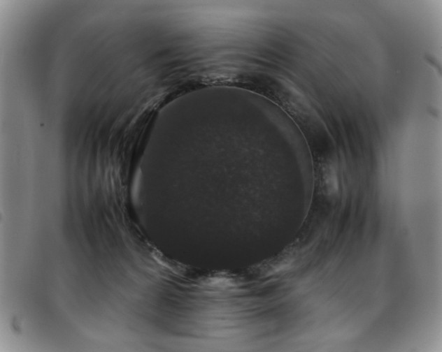 X0000097820224200803141148