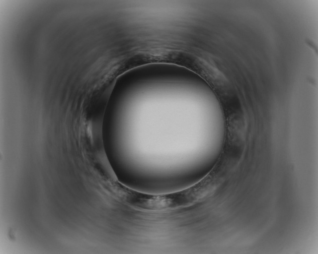 X0000097820225200803141148