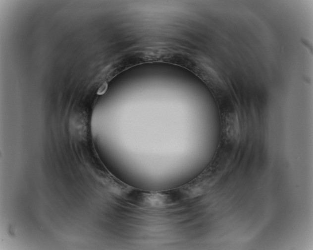 X0000097820226200803141148