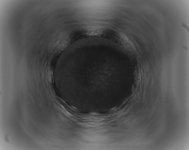 X0000097820227200803141148