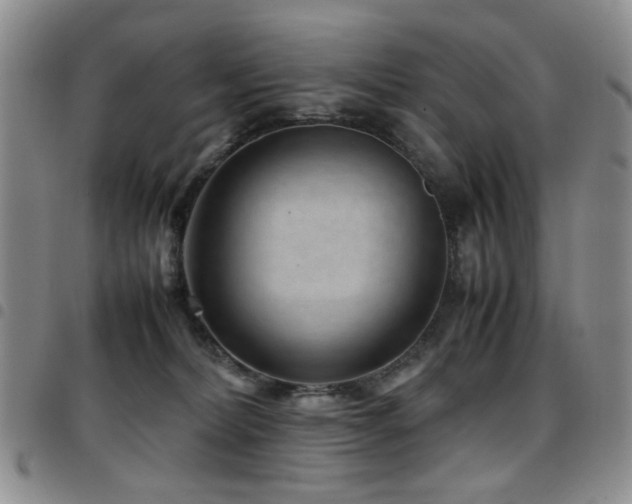 X0000097820228200803141148