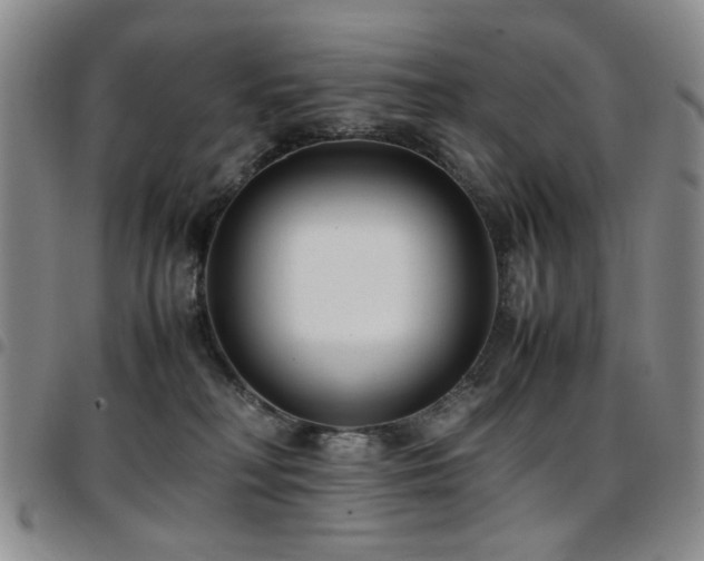 X0000097820230200803141147