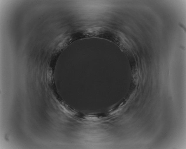 X0000097820231200803141147