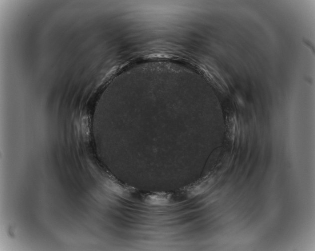 X0000097820232200803141147