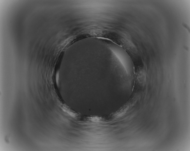 X0000097820233200803141147