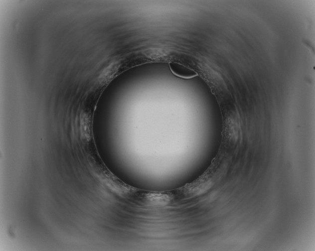 X0000097820234200803141147