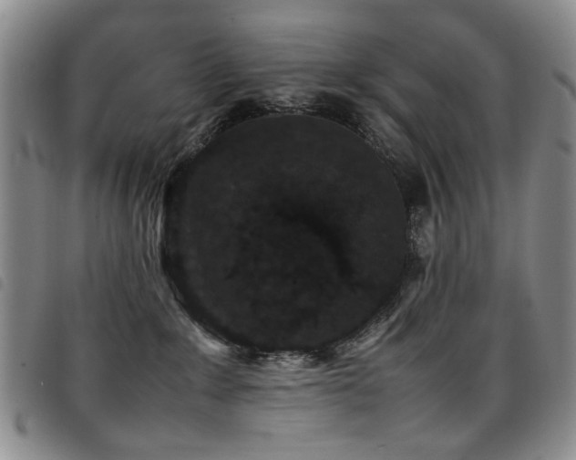 X0000097820235200803141147