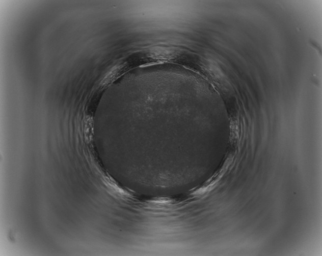 X0000097820237200803141147