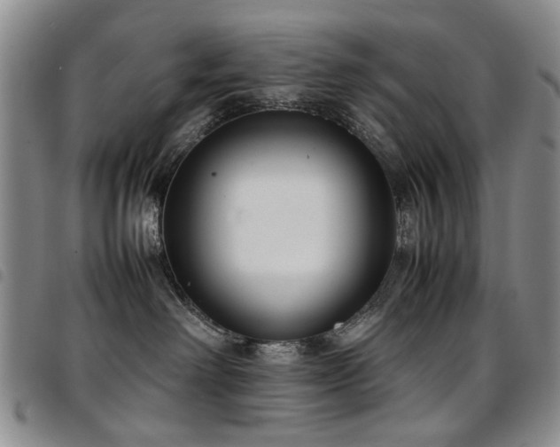 X0000097820238200803141147