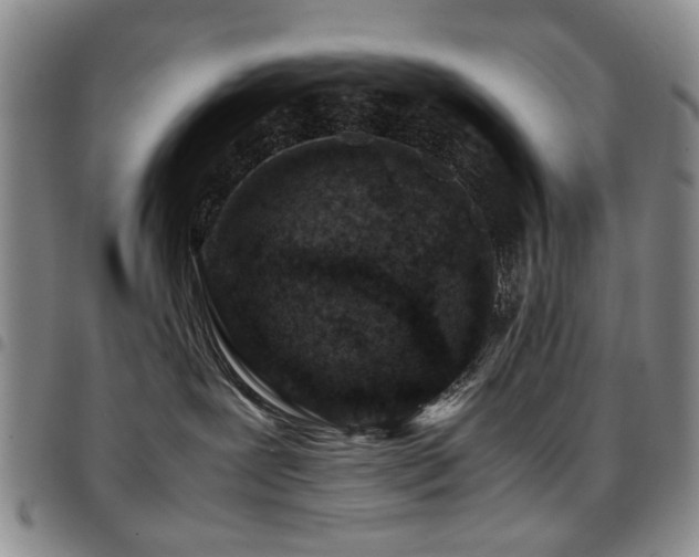 X0000097820239200803141147