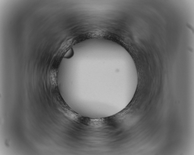 X0000097820240200803141147