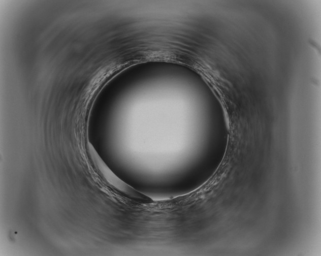 X0000097820241200803141147