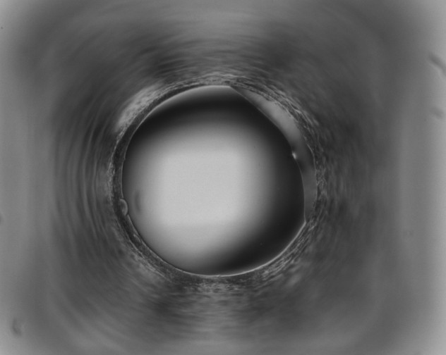 X0000097820242200803141147