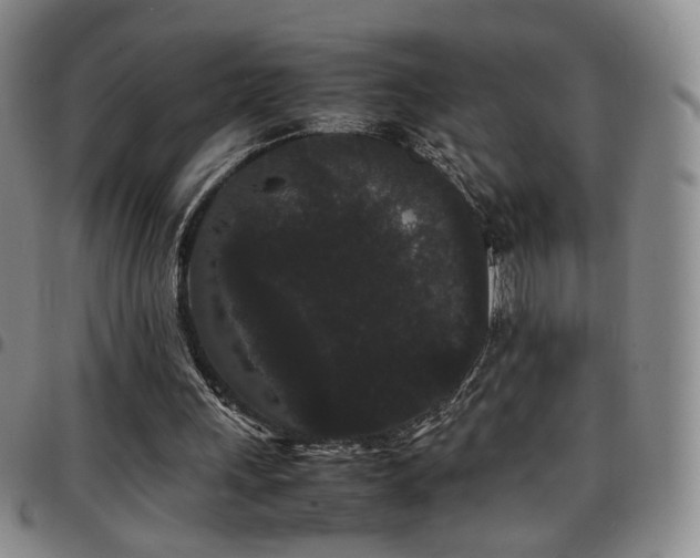 X0000097820243200803141147