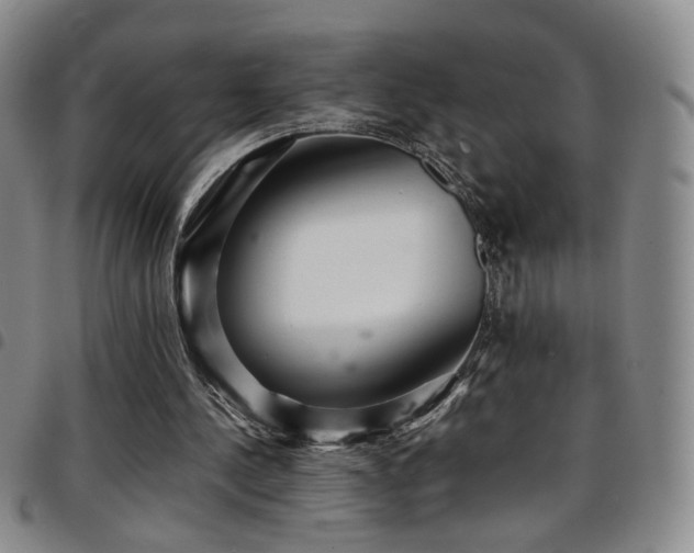 X0000097820244200803141147