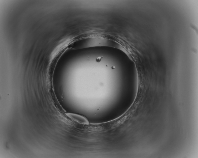 X0000097820245200803141147