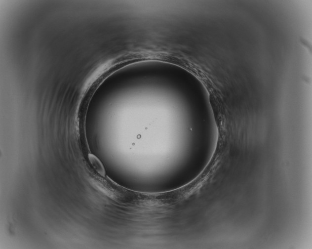 X0000097820246200803141147