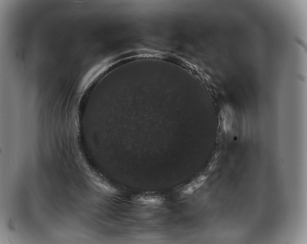 X0000097820247200803141147