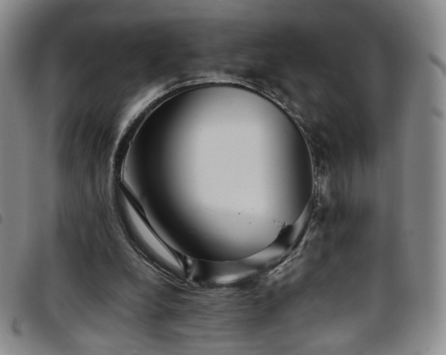 X0000097820248200803141147