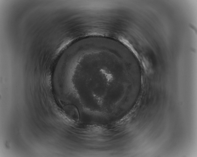 X0000097820249200803141147