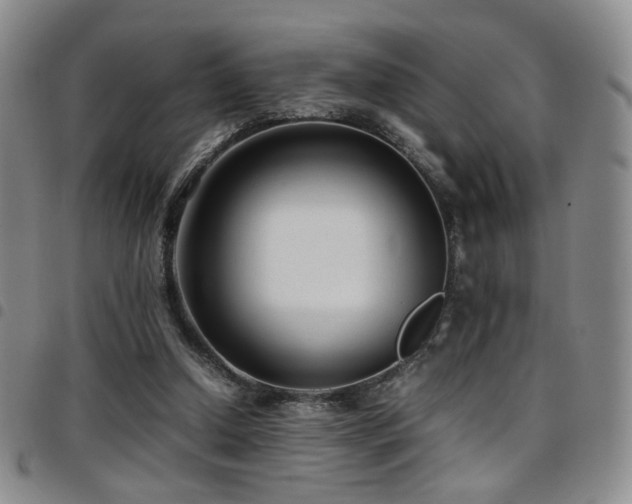 X0000097820250200803141147