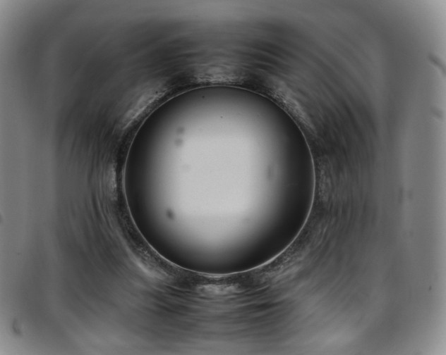 X0000097820251200803141147