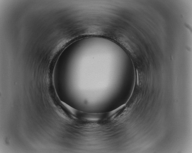 X0000097820252200803141147