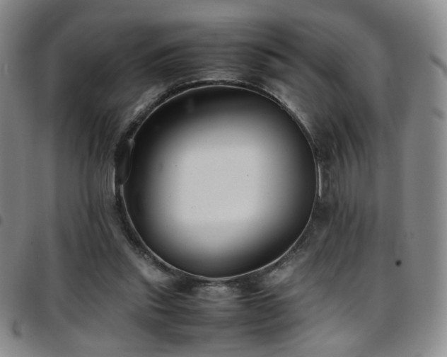 X0000097820253200803141147