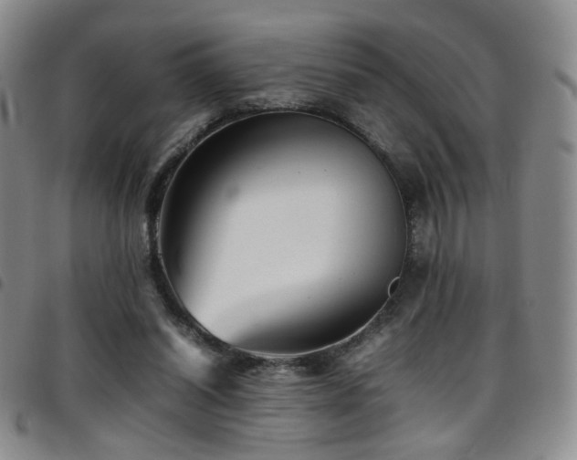 X0000097820254200803141147