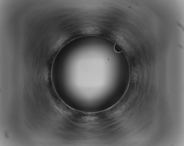 X0000097820255200803141147