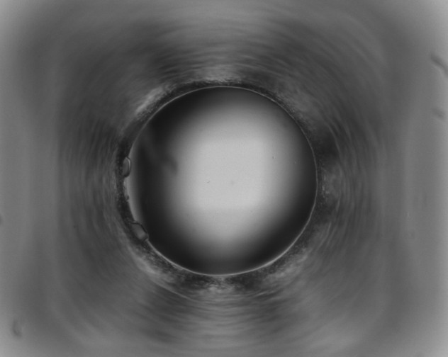 X0000097820256200803141147