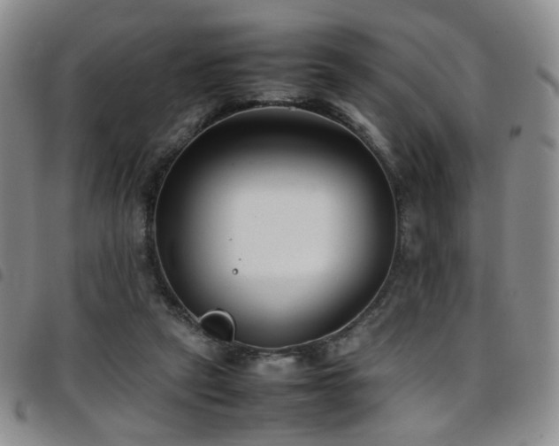 X0000097820257200803141147